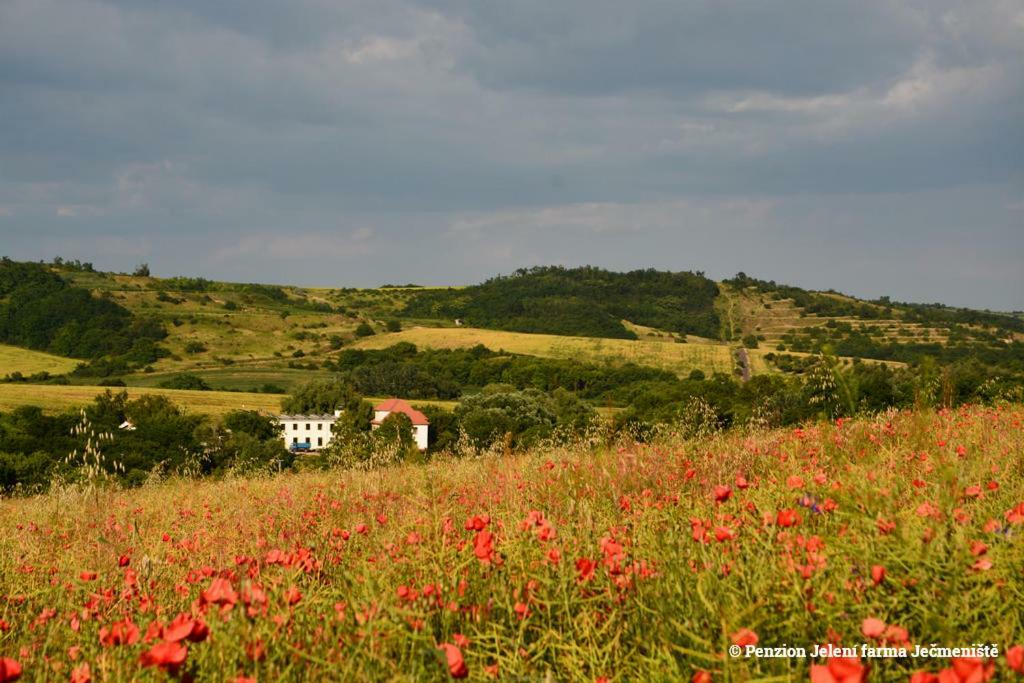 Отель Jeleni Farma Jecmeniste Vrbovec Экстерьер фото